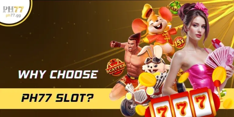 Tổ chức hỗ trợ bên ngoài